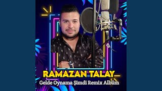 Sarı Yıldız  Atım Arap Remix [upl. by Alessig]