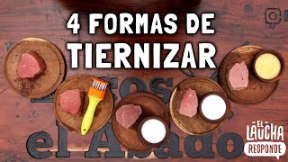 4 Formas Caseras de Tiernizar la Carne ¿Funcionarán  El Laucha Responde [upl. by Merrily]