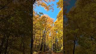 Autumn on the Keweenaws Covered Road  Subscribe to Remote Workforce Keweenaw fallcolor [upl. by Dnaloy877]