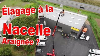 VEGELOC  Un OVNI sur la Planète Élagage [upl. by Attehcnoc]