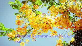 Phoolon Ka Taron Ka Sabka Kehna Hai Instrumental With Lyrics [upl. by Teresa]