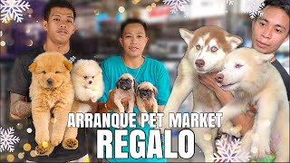 REGALO  ARRANQUE PET MARKET  DECEMBER 21 2023 [upl. by Arhsub]