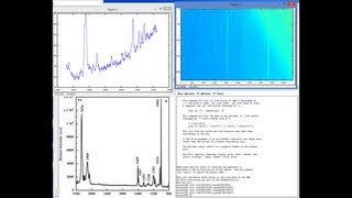 Intro to DIY Raman Spectroscopy [upl. by Halil]