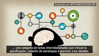 El cerebro de los músicos [upl. by Keraj653]