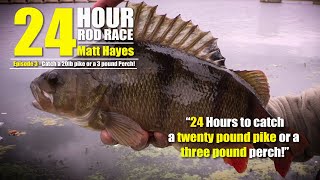 Matt Hayes  24 Hour Rod Race  S1 EP3  An Amazing Day with Perch [upl. by Behn]