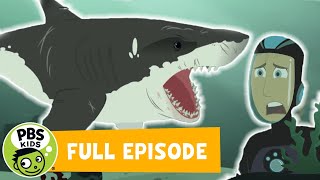 Wild Kratts FULL EPISODE  Stuck on Sharks  PBS KIDS [upl. by Ludly]