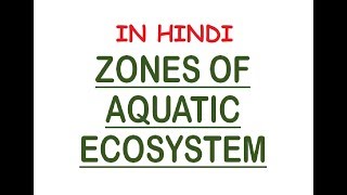 Aquatic Ecosystem Zones  PhoticAphotic Limnetic Pelagic Intertidal Neritic In Hindi [upl. by Sacci]