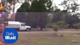 MASSIVE lightning bolt splits a tree in HALF [upl. by Yrocaj]