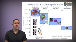 Principles of fMRI Part 1 Module 10a Spatial and temporal resolution [upl. by Amati181]