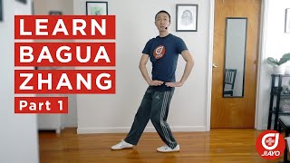 Learn Bagua Zhang with Brandon Sugiyama  Part 1 [upl. by Evyn471]