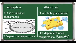 Adsorption Vs Absorption Differences [upl. by Ahsayn]