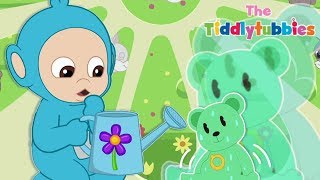 Tiddlytubbies NEW Season 3 ★ Episode 2 Magic Growing Teddy Bear [upl. by Erdied]