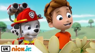 Paw Patrol Full Episodes 🐾 Merpups Save The Turbots 🐾 Paw Patrol English [upl. by Clemente]