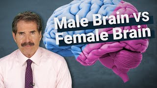 The Science Male Brain vs Female Brain [upl. by Akinam]