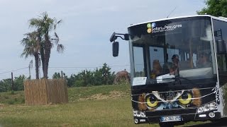 Une visite guidée en bus en juilletaoût au Safari de Peaugres [upl. by Rj]