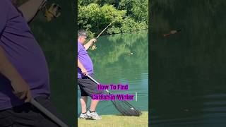 How To Find Catfish In WINTER Best Tips And Tricks 🎣 shorts fishing [upl. by Helbona]