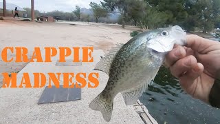 Crappie Fishing An Arizona Urban Pond Bank Fishing Tips And Technique [upl. by Tiertza]