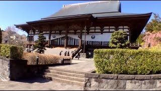 Buddhist Pilgrimage to Head Temple Taisekiji [upl. by Aicelet]