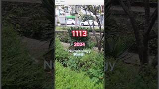 111324 原創音樂 lofi 孔雀539 garden 獨立音樂 數秘術 [upl. by Madanhoj829]