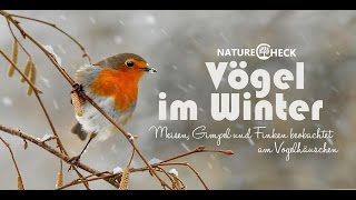 Vögel im Winter  Futterhäuschen und Meisenknödel [upl. by Leoy]