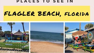 Flagler Beach Florida A detailed Travel Guide things to see in Flagler BeachThe Hallgrens [upl. by Mayhs224]