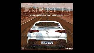 SNE MALI  Malungelo feat Nokwazi [upl. by Esertal267]