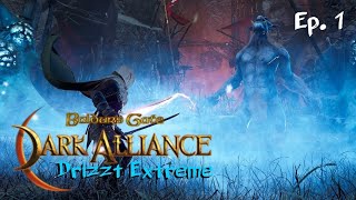 Baldurs Gate Dark Alliance PS4 Drizzt DoUrden  Extreme Mode Playthrough Ep1 [upl. by Monagan983]