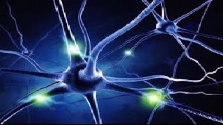 Light and Sound 40 Hz Device Neurohacking Alzheimer’s [upl. by Olshausen470]