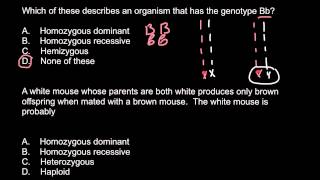 Homozygous heterozygous hemizygous haploid [upl. by Nalon62]