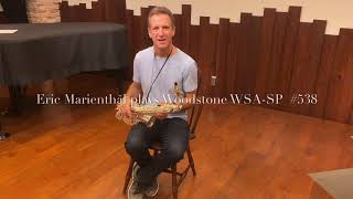 Eric Marienthal plays Woodstone New Vintage Alto WSASP [upl. by Laon]