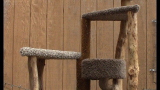 How To  Repairing the CARPET on A CAT’S SCRATCH POST and How to Select Healthy Carpet [upl. by Leiser]