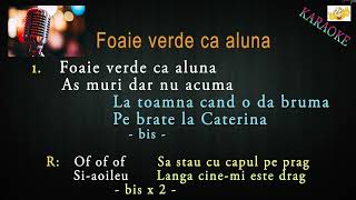 Foaie verde ca aluna karaoke [upl. by Nylekcaj]