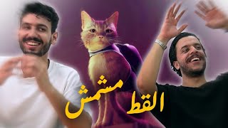 لعبة القطة الضائعة  Stray [upl. by Mintz]