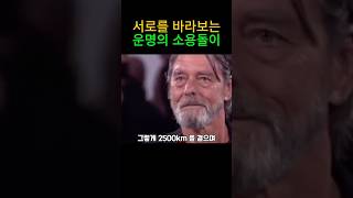 한때 사랑한 사람과 눈맞춤 [upl. by Schilt]