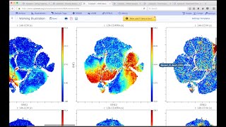 Cytobank Overview [upl. by Engamrahc]