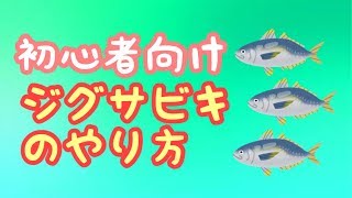 【初心者向け】ジグサビキのやり方解説 [upl. by Eilatam]