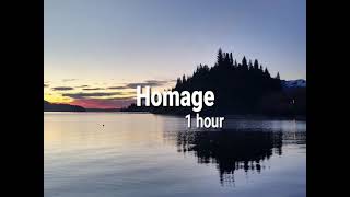 Homage 1 hour [upl. by Thilda]