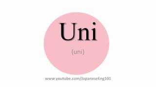 How to Pronounce Uni [upl. by Kcirdorb]