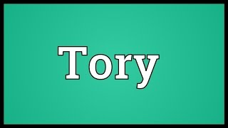 Tory Meaning [upl. by Anehsak]