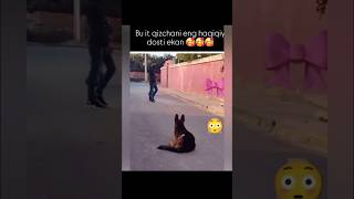 N1 eng zor videolar kanali HayotSinovlari1👏🏻❤️👍🏻 reels ibrat instagram ibratli rek shorts [upl. by Marta]