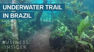 Heavy Rain Turned This Hiking Trail Into An Underwater Paradise [upl. by Nollad]