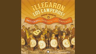 Llegaron Los Camperos  The Countrymen Arrived [upl. by Shear]