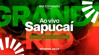 SALGUEIRO Carnaval 2024  Sambas de Enredo  Clipe Oficial [upl. by Orford]