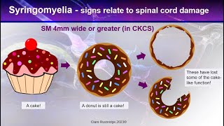 Clinical Signs of Canine Chiari and Syringomyelia  from the expert [upl. by Harding]