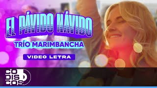 El Pávido Navido Trio Marimbancha  Video Letra [upl. by Lindner]