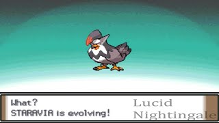 Pokemon Platinum Starly Evolves to Staravia and to Staraptor [upl. by Gaw]