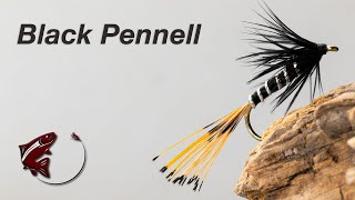 Black Pennell [upl. by Aimik]