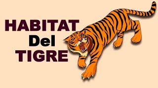 🐅 ¿Dónde VIVEN Los TIGRES y de Que se ALIMENTAN  Animales Salvajes [upl. by Naam28]