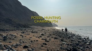 Fossil hunting in charmouth beach🦖 [upl. by Llennej]