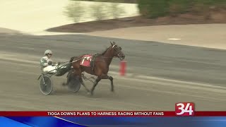 Tioga Downs harness racing [upl. by Constance473]